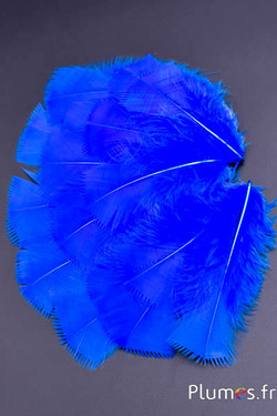 Dinde effilée - 6-8 cm - bleu
